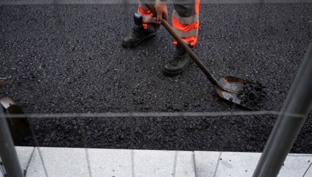 Best Driveway Grading and Leveling  in Clearview, WA